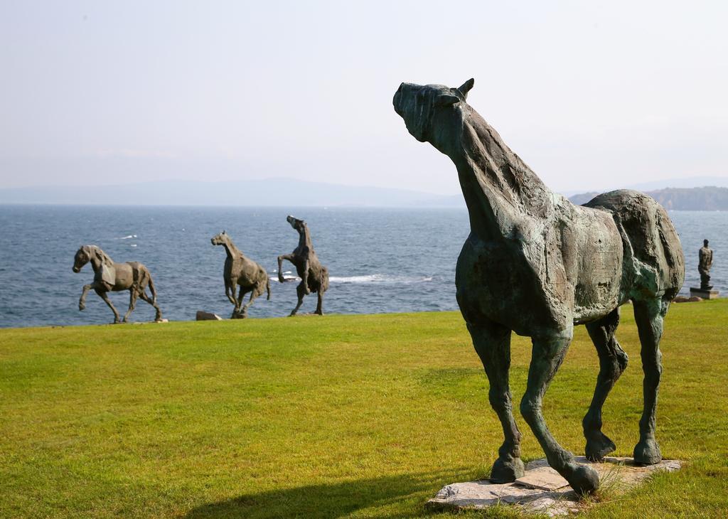 Art Complex Anel Hotel Sozopol Eksteriør billede